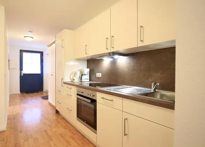 Papillon 04-4 بولتينهاجين